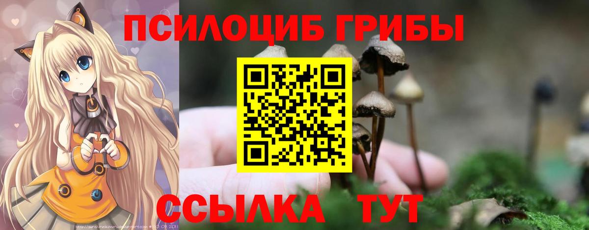 Псилоцибиновые грибы мухоморы  Вход с VPN  Псилоцибиновые грибы MAGIC MUSHROOMS  цена наркотик  Майкоп 